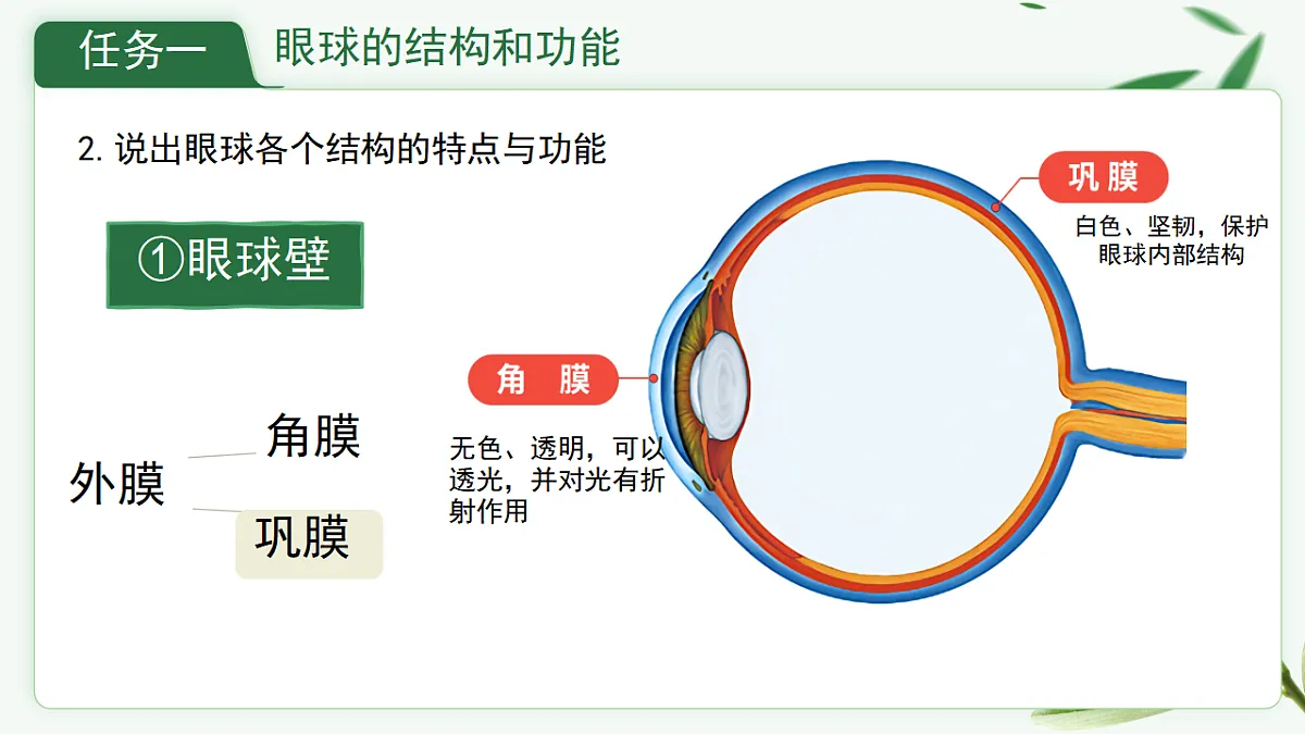 17329204第8页