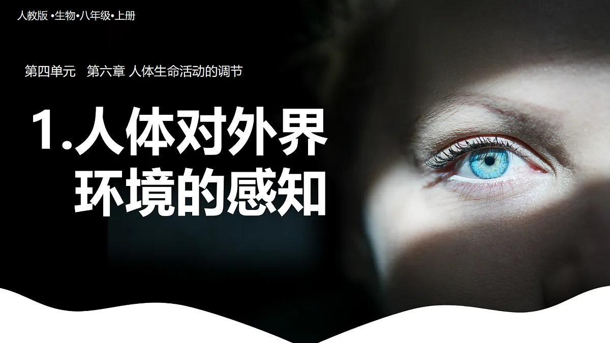 17329205第1页