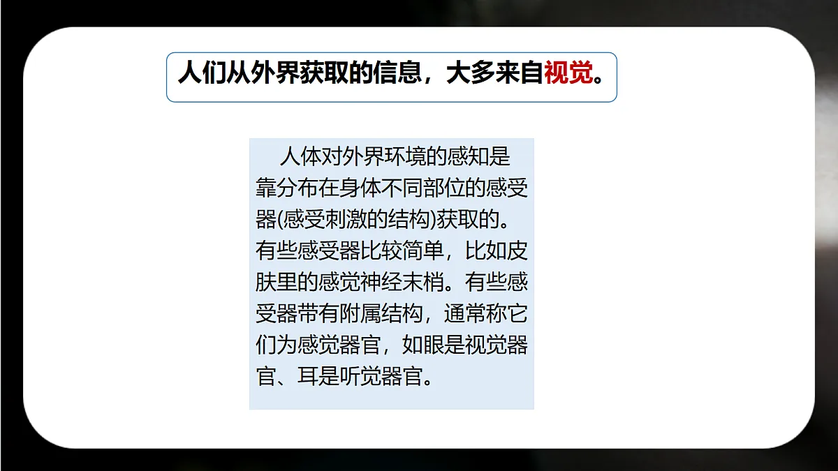 17329205第4页