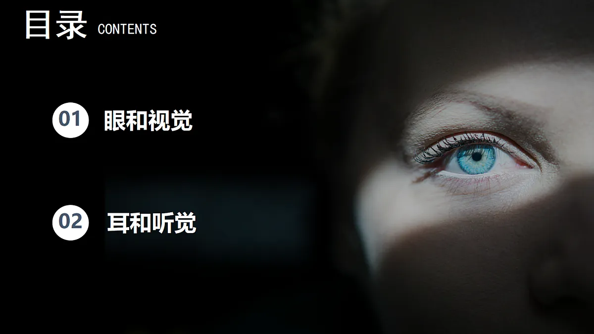 17329205第5页