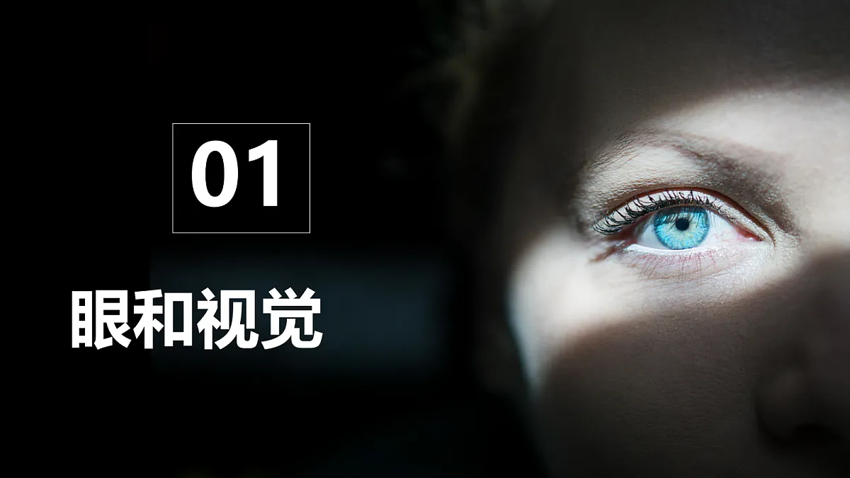 17329205第6页