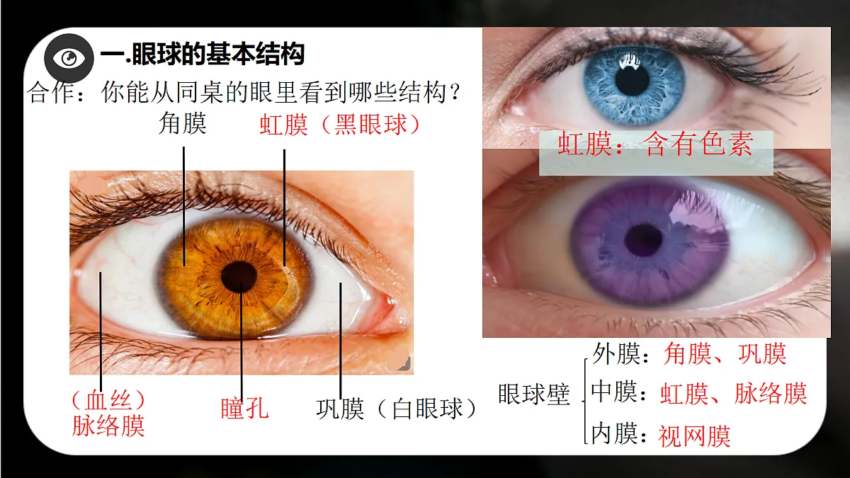 17329205第8页