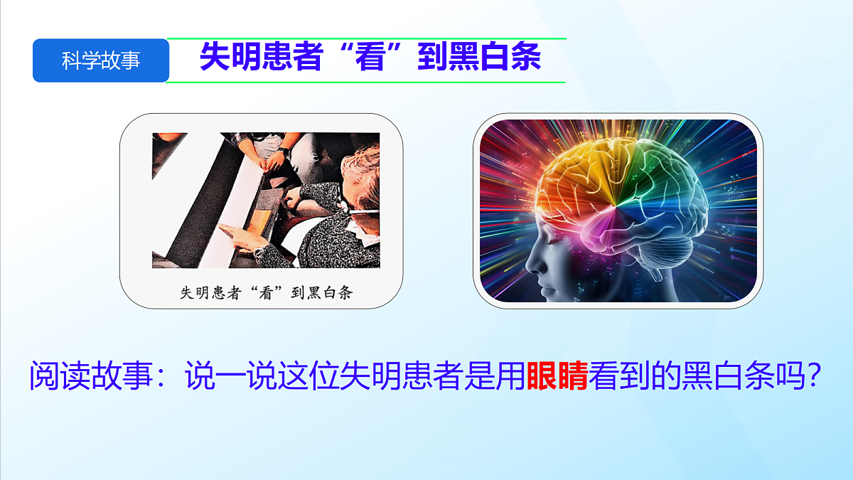 17329206第3页
