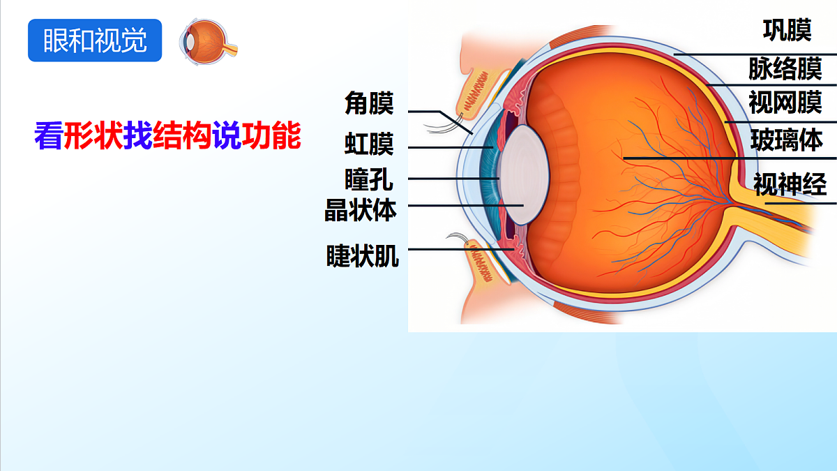 17329206第5页