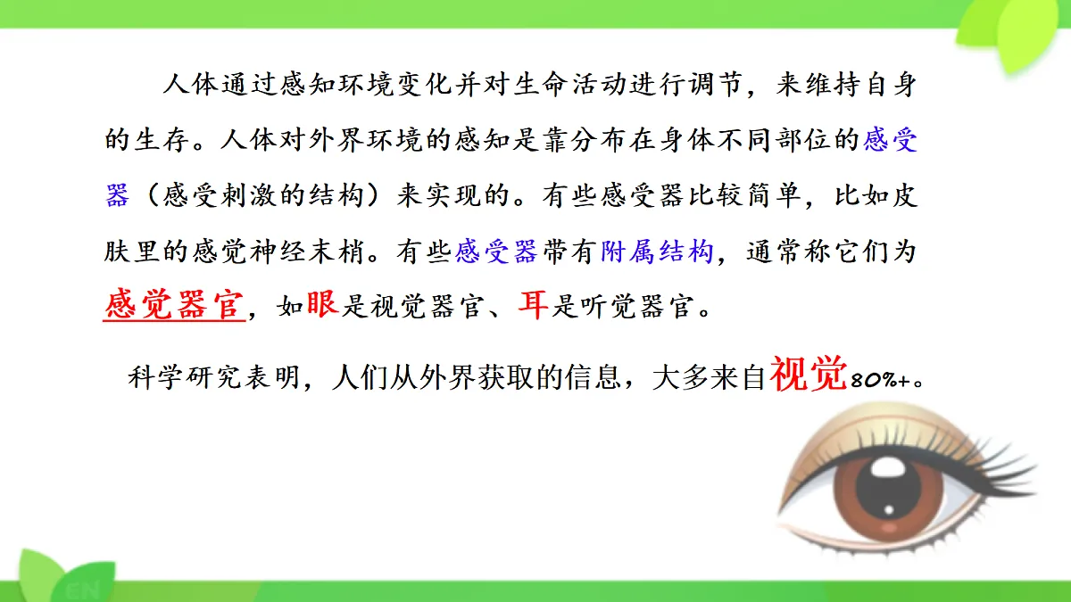 17329208第3页
