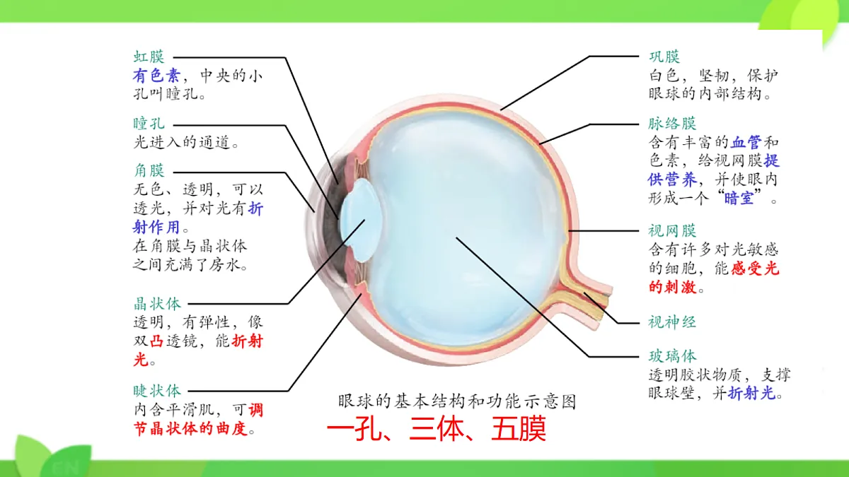 17329208第5页
