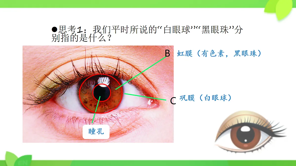 17329208第8页