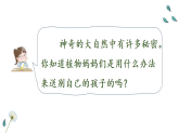统编版语文二年级上册第3课《植物妈妈有办法》课件