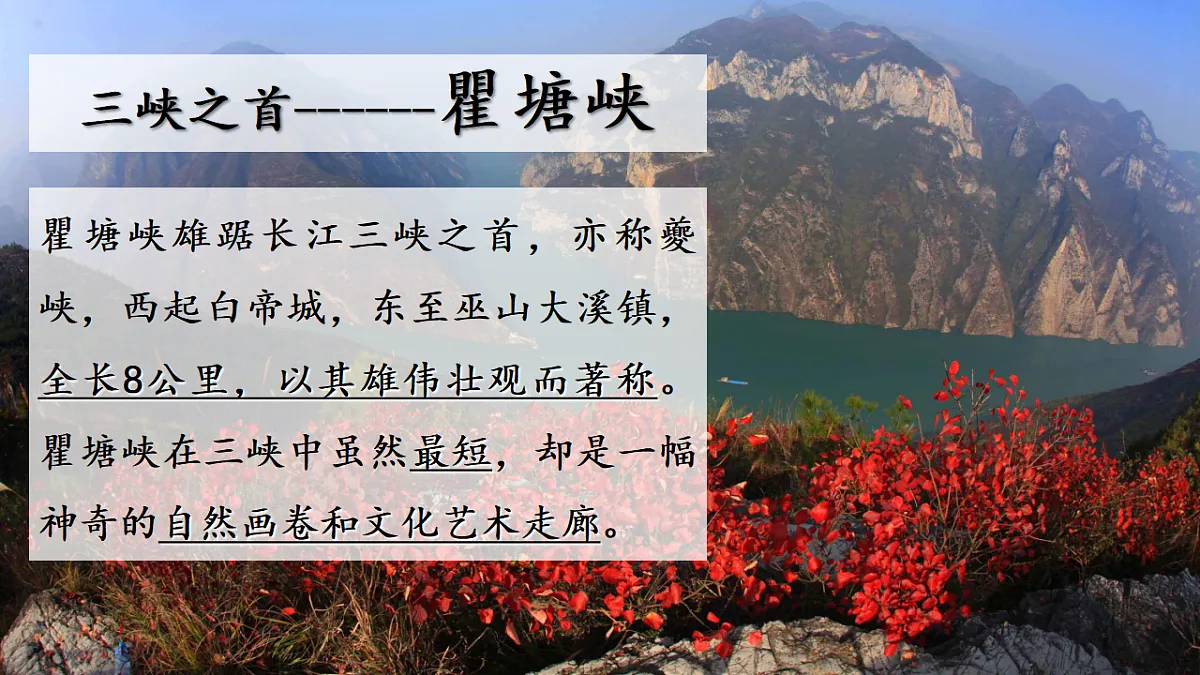 17329310第5页