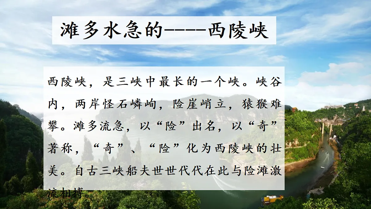 17329310第7页