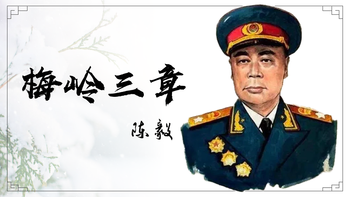 17329315第2页
