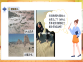 【教学评一体化】苏教版三上科学 1.4《植被与土壤》课件+教学设计表格式+单元整体设计+视频素材