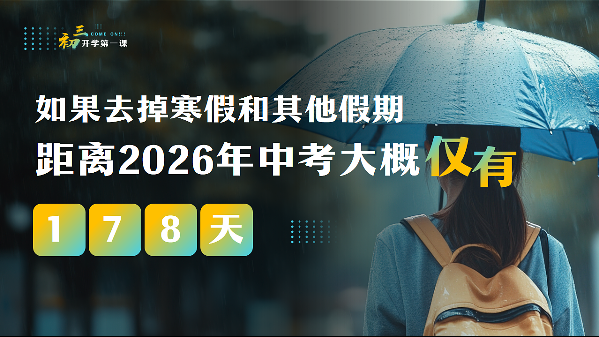 17329538第4页