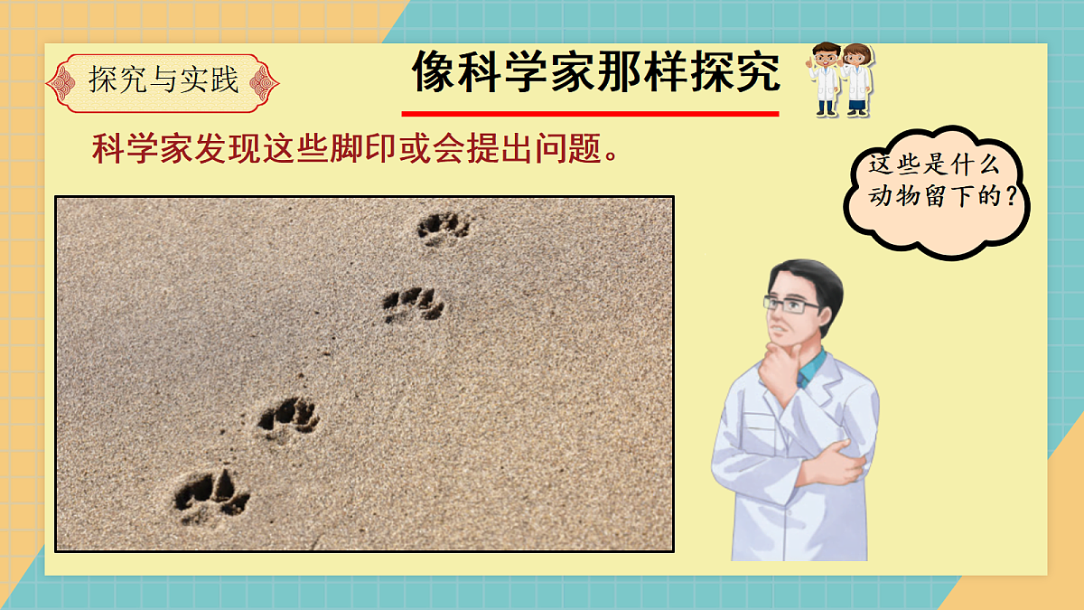 17329776第3页