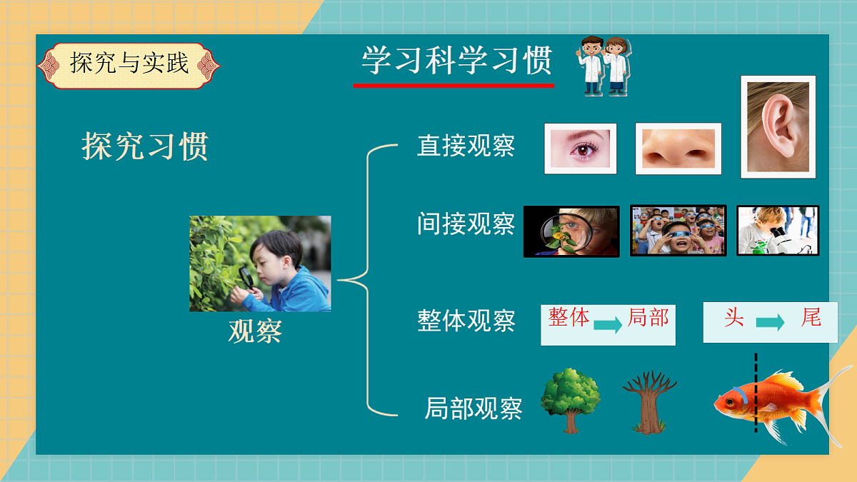 17329776第7页