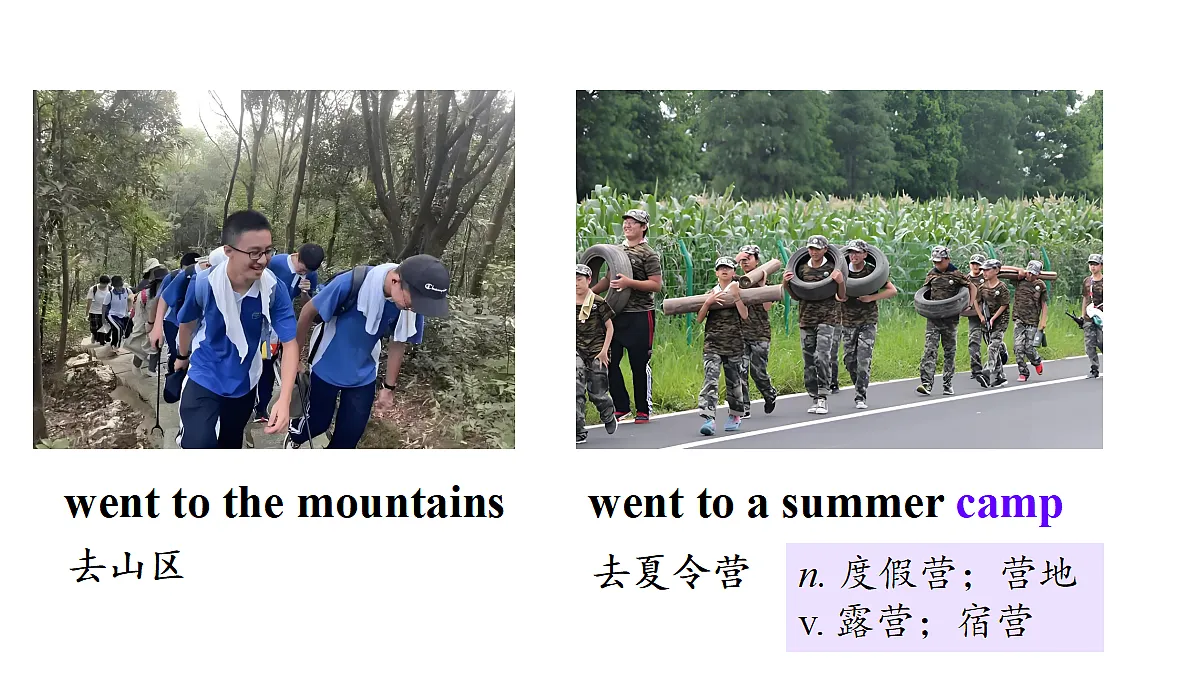 17330478第7页
