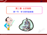 第一节学习使用显微镜的PPT