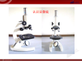 第一节学习使用显微镜的PPT