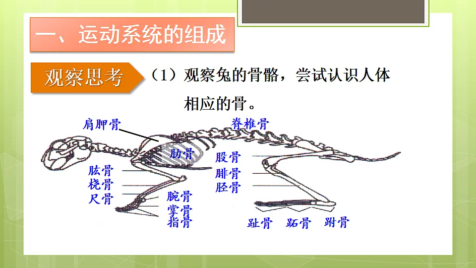 17331808第4页