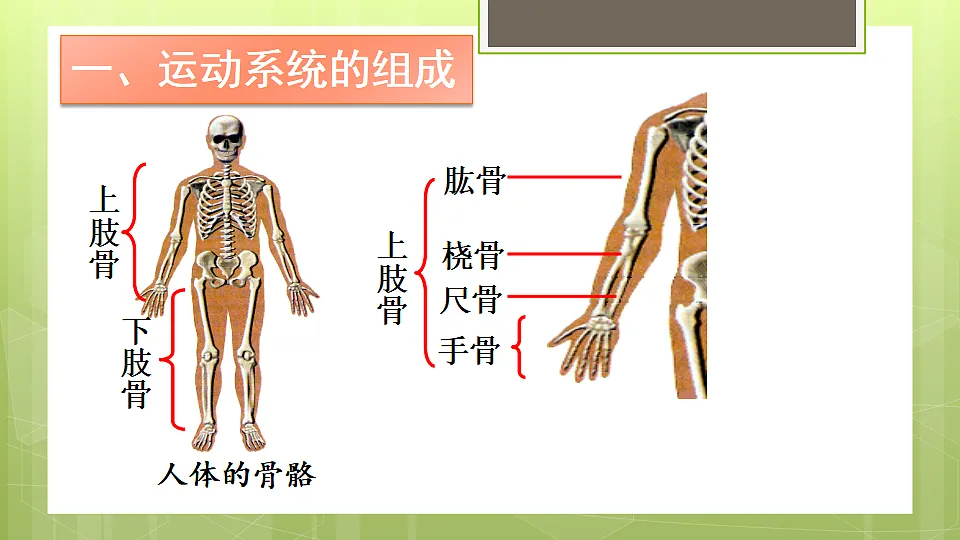 17331808第5页