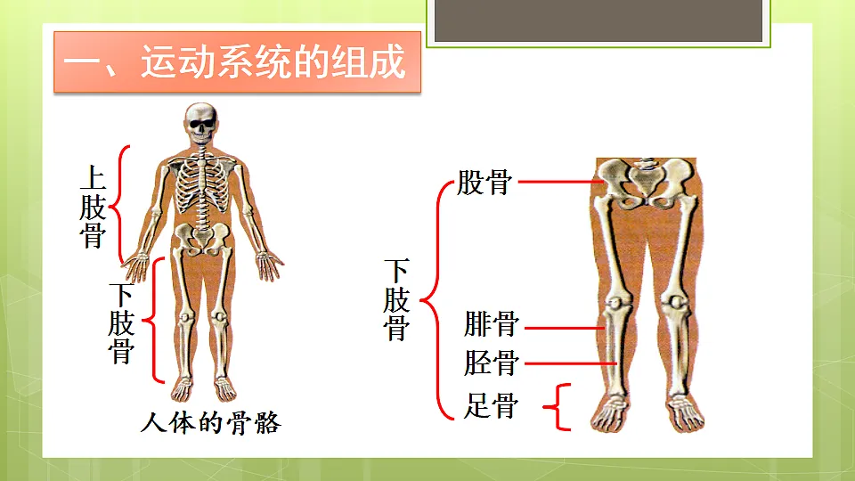 17331808第6页