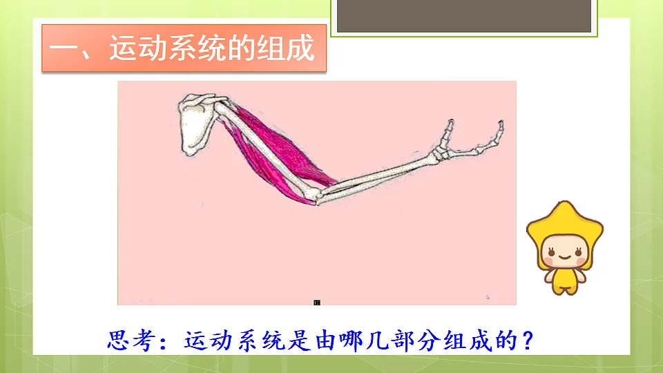 17331808第7页