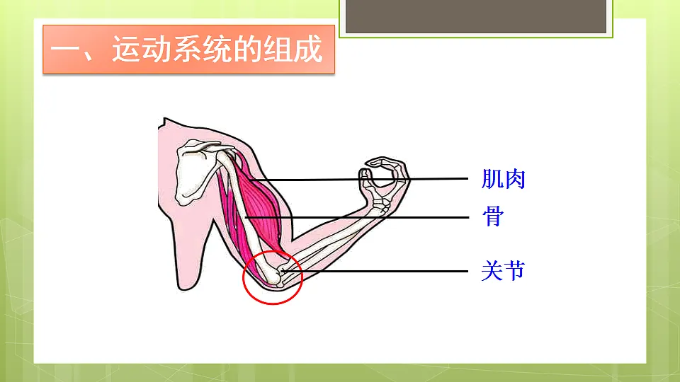 17331808第8页