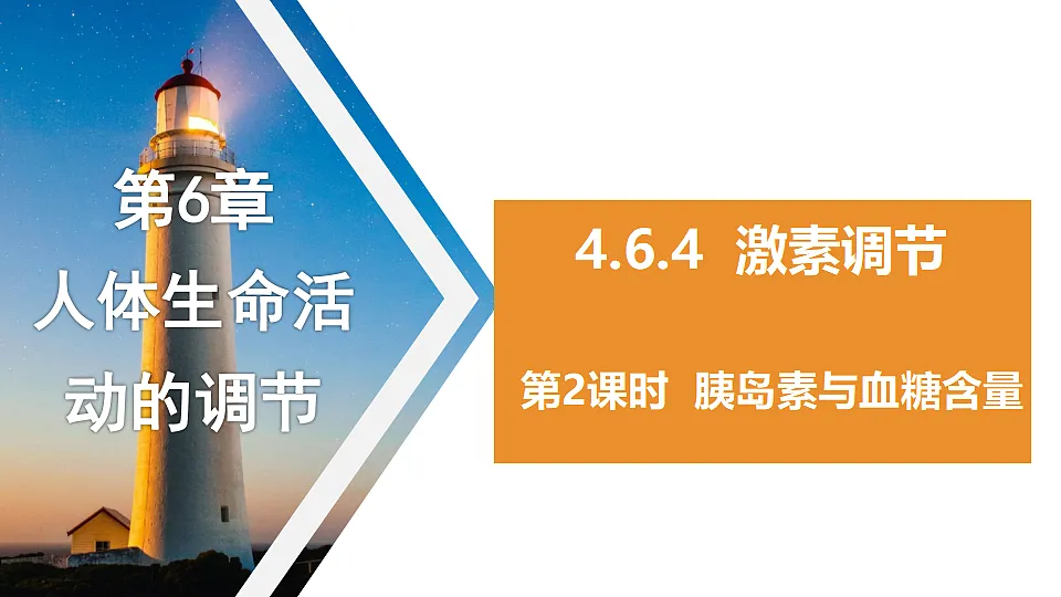 17331809第1页