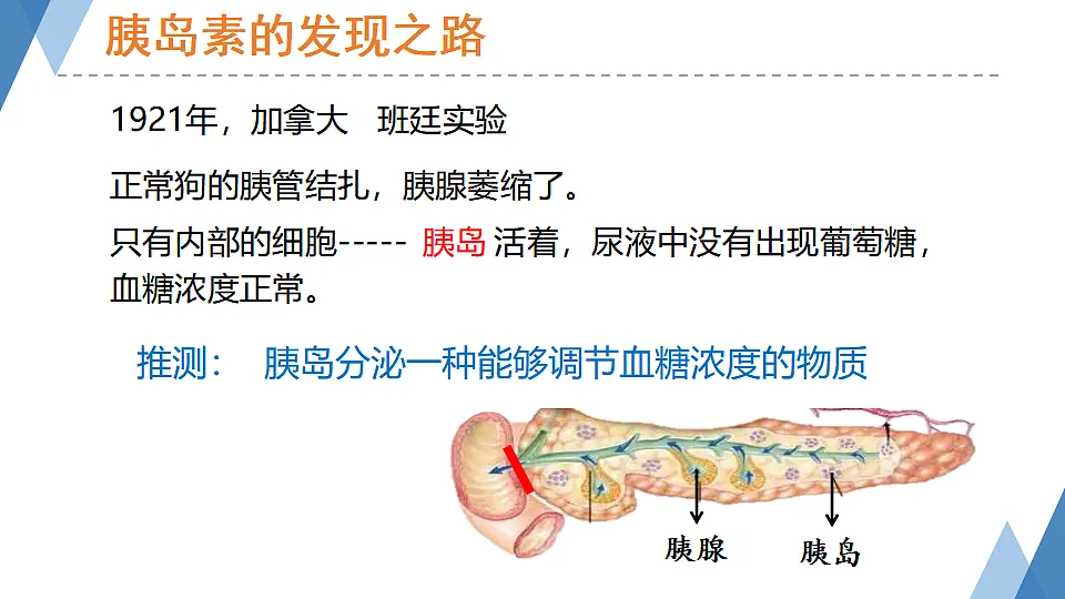 17331809第6页