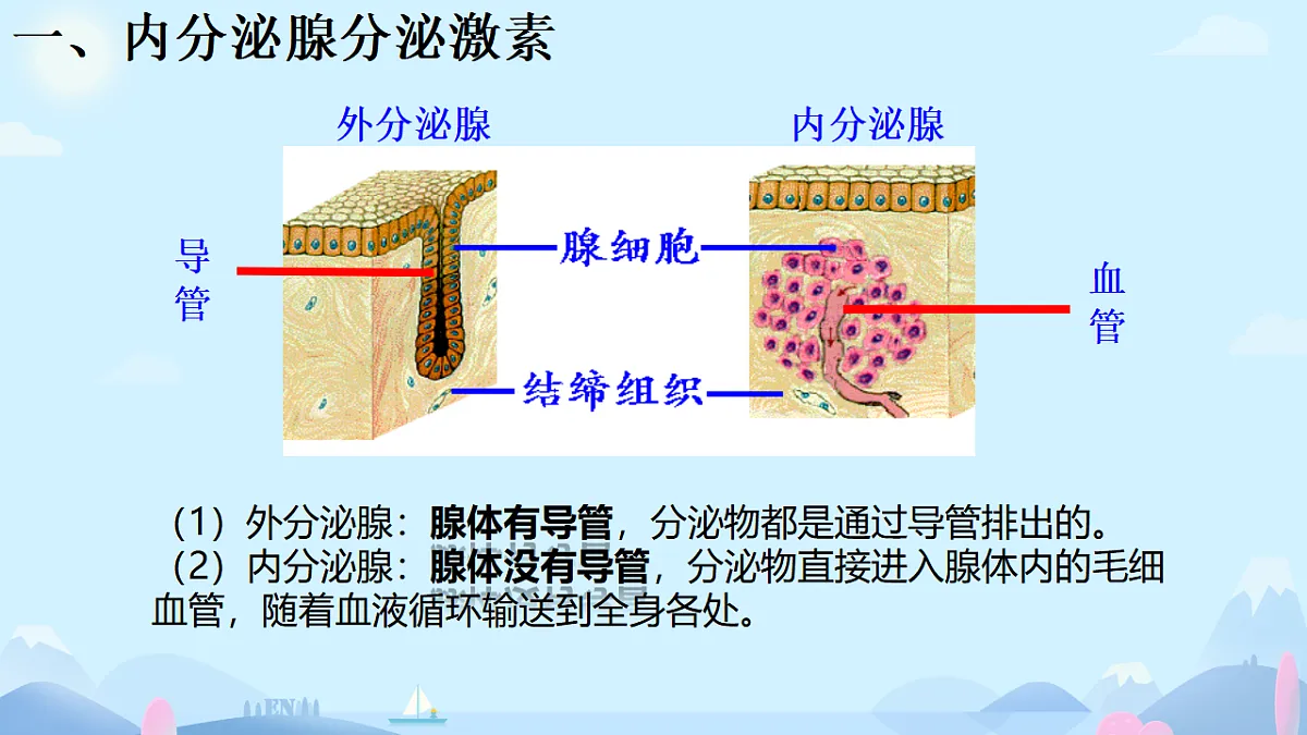 17331810第3页