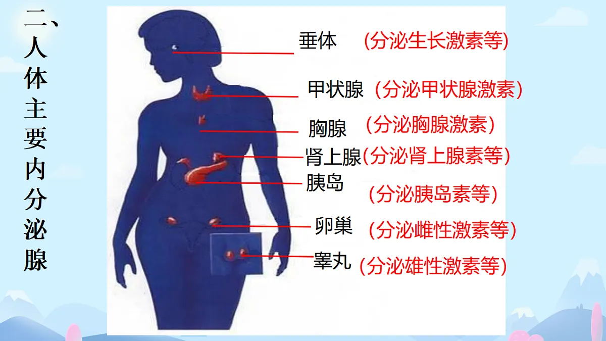 17331810第5页