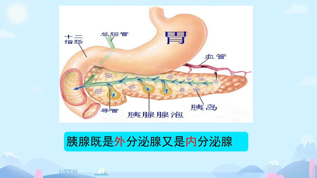 17331810第6页