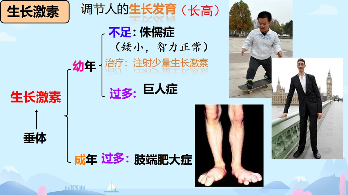 17331810第8页