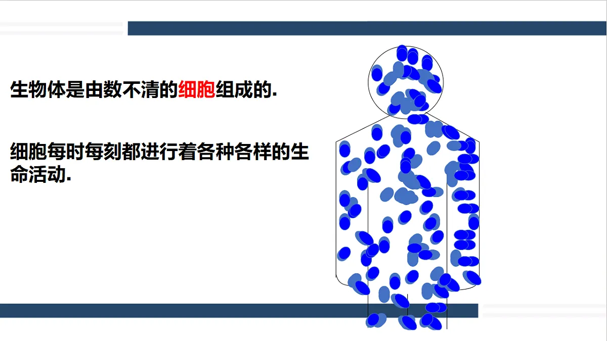 17331813第4页