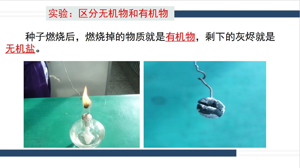 17331813第7页