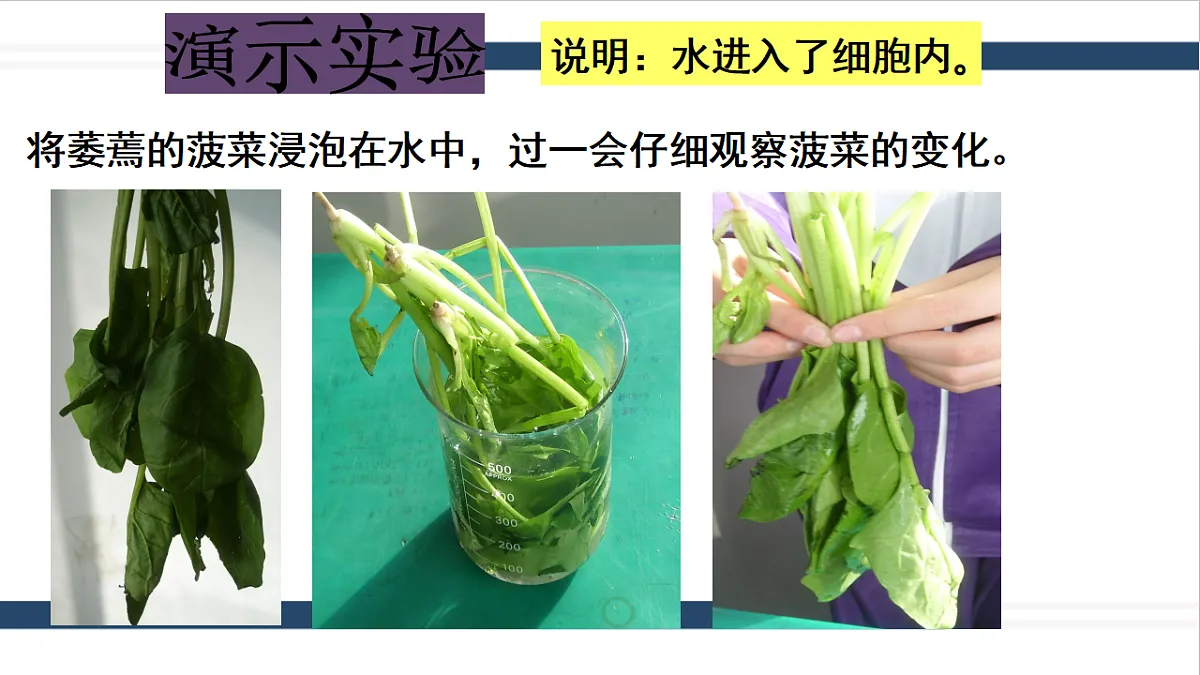 17331813第8页