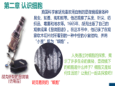 人教版生物七年级上册1.2.1《学习使用显微镜》教学课件