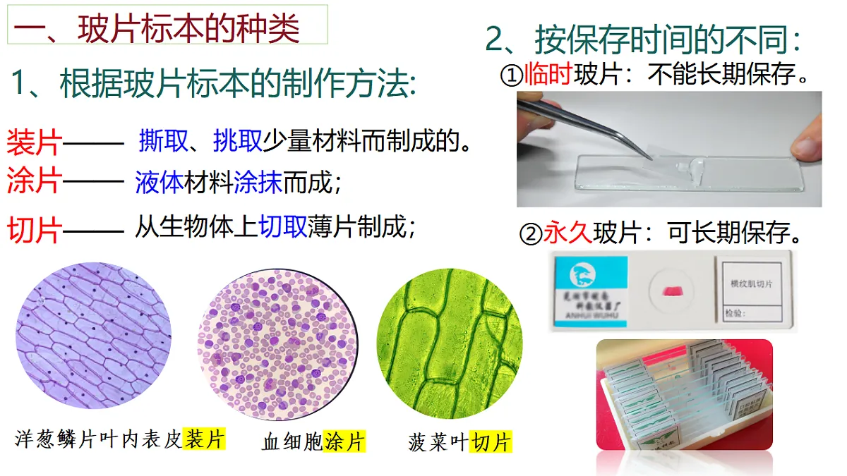 17331815第2页
