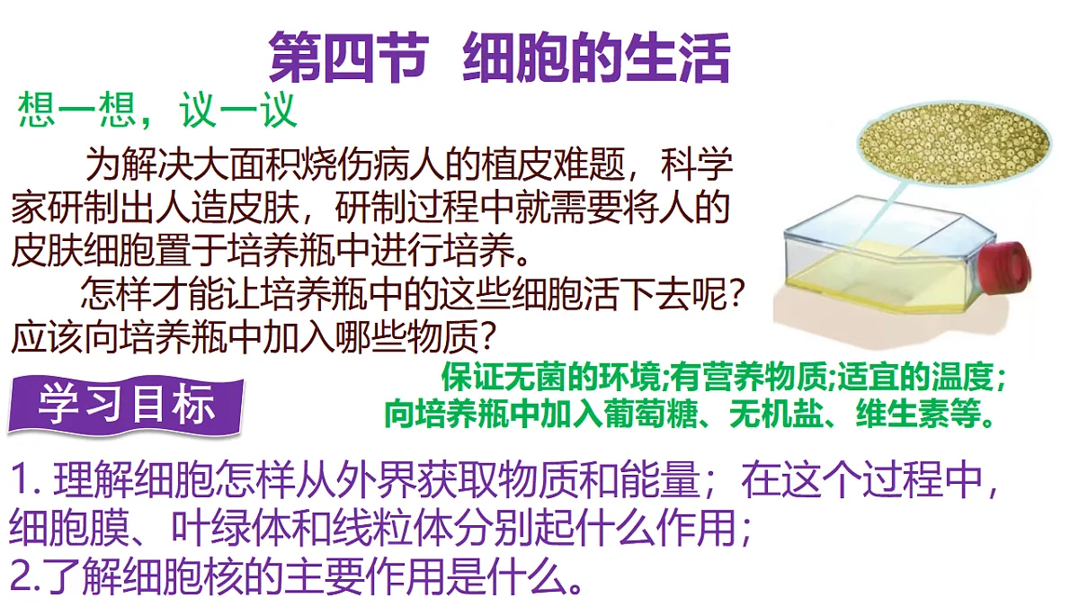 17331816第1页