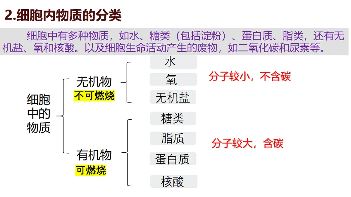 17331816第3页
