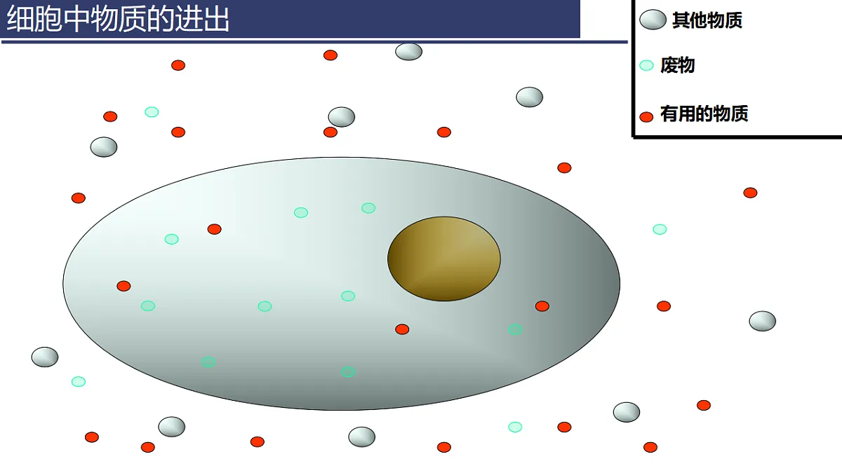 17331816第5页