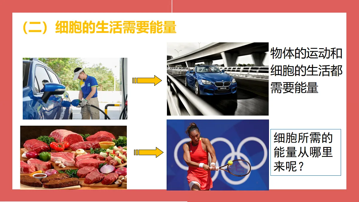 17331816第6页