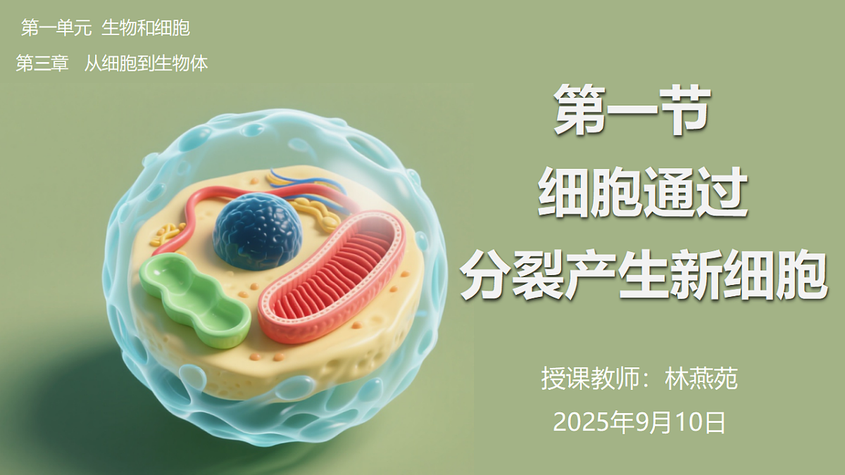 17331817第2页