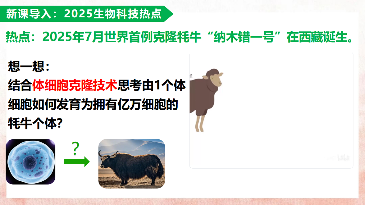 17331817第4页