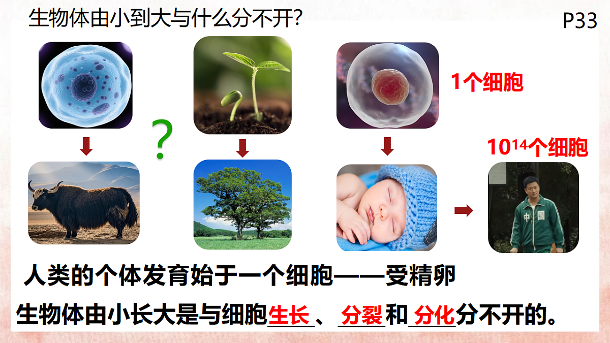 17331817第5页
