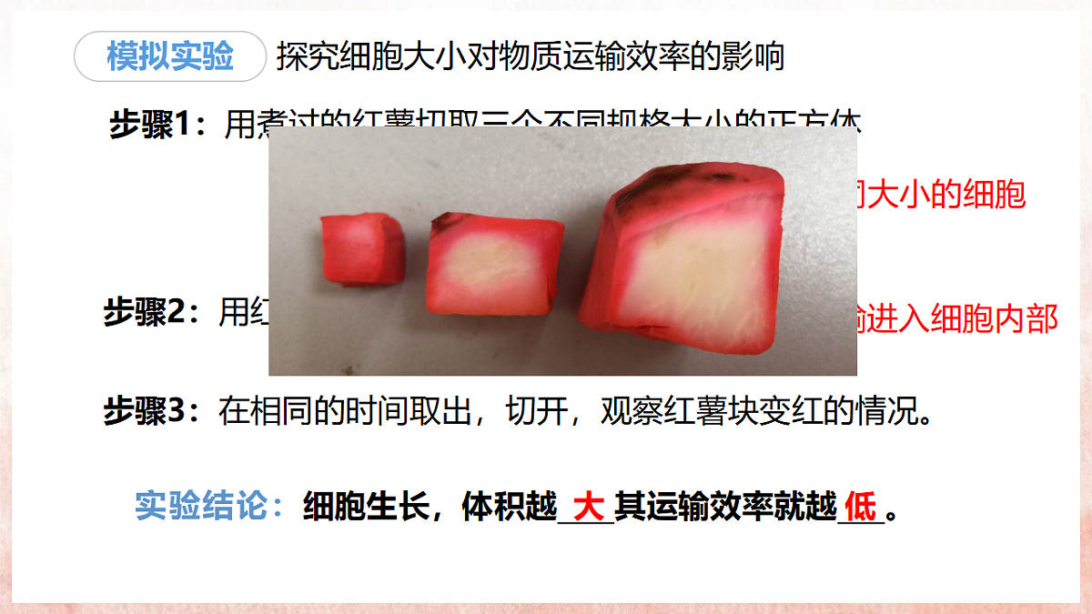 17331817第7页
