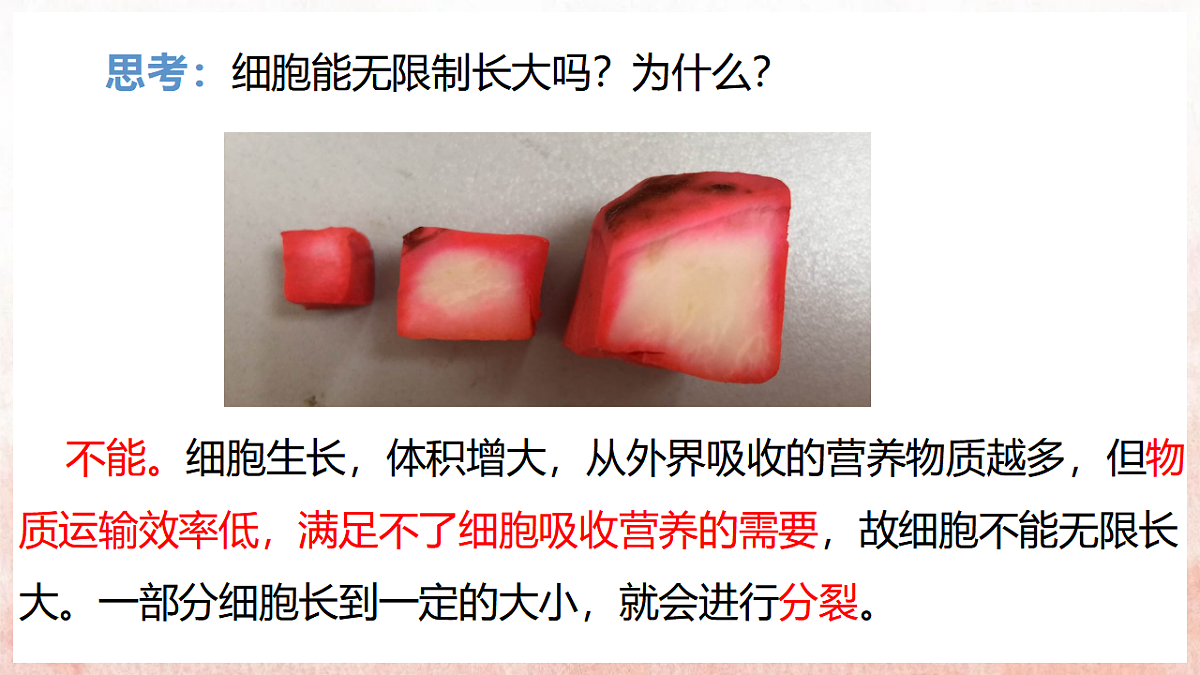 17331817第8页