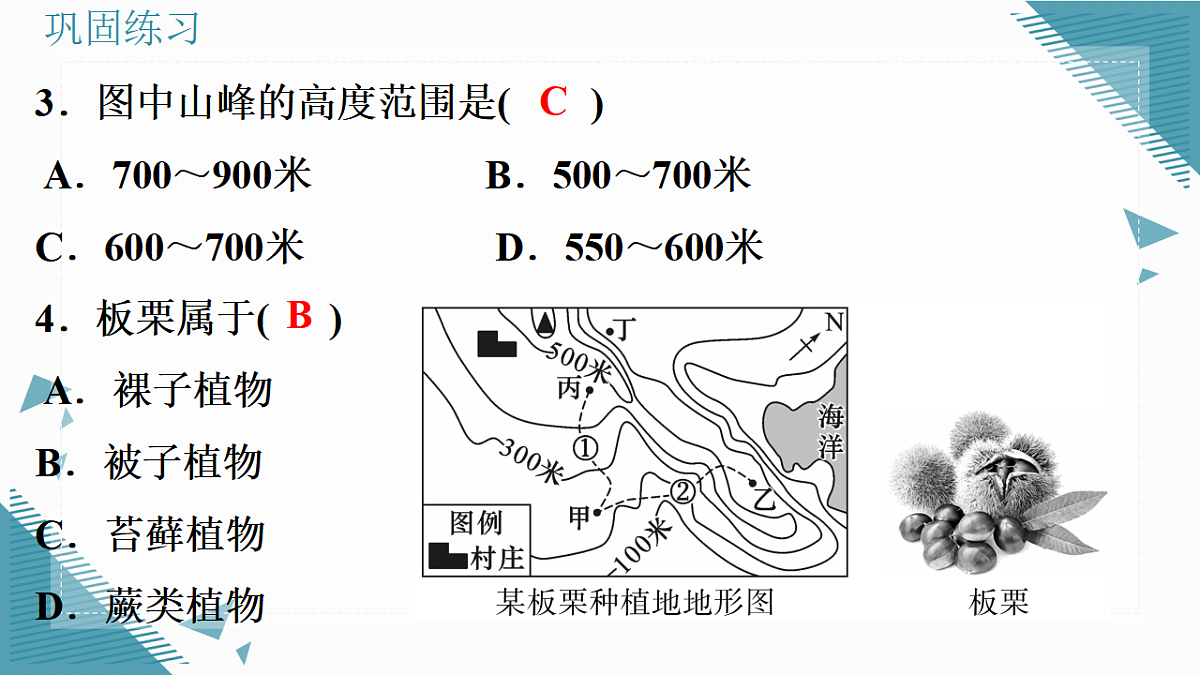 17331900第5页