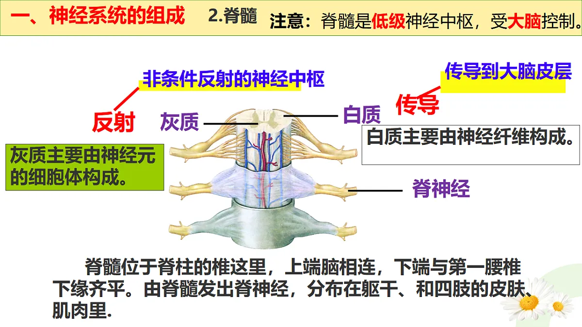 17331959第8页