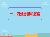 4.6.4 激素调节（课件） 人教版生物八年级上册